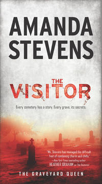 The Visitor, Amanda  Stevens аудиокнига. ISDN42523485