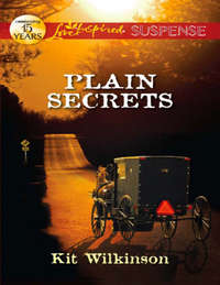 Plain Secrets - Kit Wilkinson