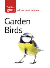 Garden Birds - Stephen Moss