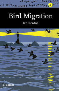 Bird Migration - Ian Newton