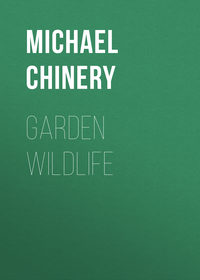 Garden Wildlife - Michael Chinery