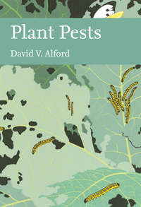 Plant Pests - David Alford