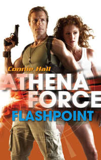 Flashpoint, Connie  Hall audiobook. ISDN42527237