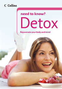 Detox, Gill  Paul audiobook. ISDN42527525