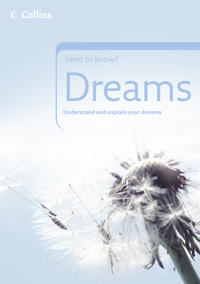 Dreams - Sean Callery