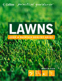 Lawns - Martin Fish