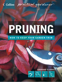 Pruning - Graham Clarke