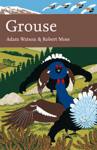 Grouse - Adam Watson