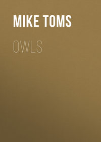 Owls - Mike Toms