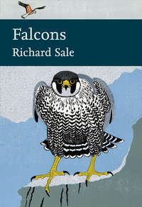 Falcons - Richard Sale