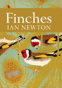 Finches - Ian Newton