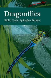 Dragonflies - Stephen Brooks