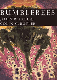 Bumblebees - John Free