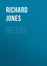 Beetles - Richard Jones