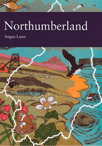 Northumberland - Angus Lunn