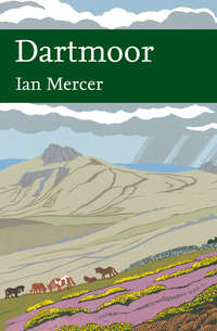 Dartmoor - Ian Mercer