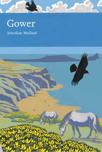 Gower - Jonathan Mullard