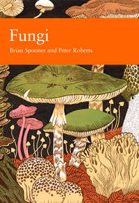 Fungi - Peter Roberts