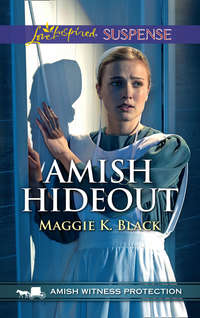 Amish Hideout,  audiobook. ISDN42528693