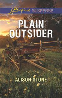 Plain Outsider, Alison  Stone аудиокнига. ISDN42529245