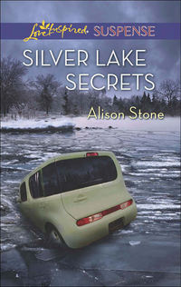 Silver Lake Secrets - Alison Stone