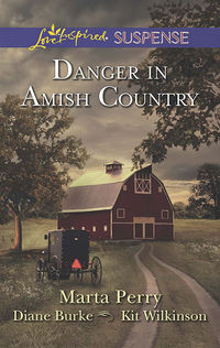 Danger in Amish Country: Fall from Grace / Dangerous Homecoming / Return to Willow Trace - Diane Burke