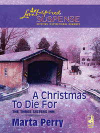 A Christmas to Die For, Marta  Perry audiobook. ISDN42529501