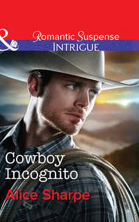 Cowboy Incognito, Alice  Sharpe audiobook. ISDN42529981