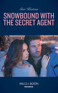 Snowbound With The Secret Agent - Geri Krotow