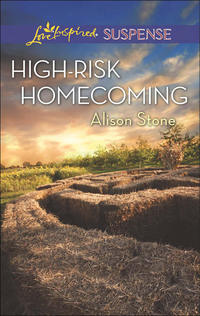 High-Risk Homecoming, Alison  Stone аудиокнига. ISDN42530669