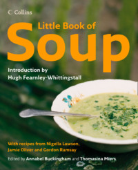 Little Book of Soup - Hugh Fearnley-Whittingstall