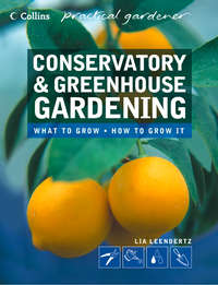 Conservatory and Greenhouse Gardening - Lia Leendertz