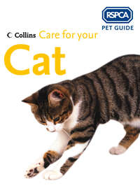 Care for your Cat - RSPCA