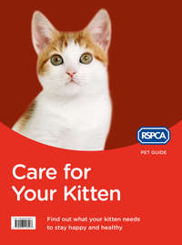 Care for Your Kitten - RSPCA