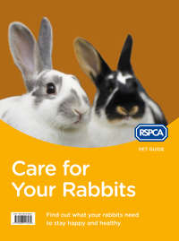 Care for Your Rabbits - RSPCA