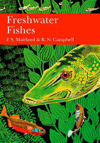 British Freshwater Fish - P. Maitland