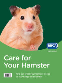 Care for Your Hamster - RSPCA