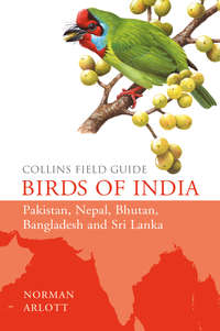 Birds of India - Norman Arlott