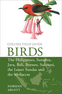 Birds of the Philippines: and Sumatra, Java, Bali, Borneo, Sulawesi, the Lesser Sundas and the Moluccas - Norman Arlott