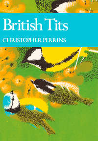 British Tits - Christopher Perrins