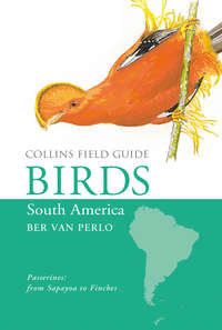 Birds of South America: Passerines - Ber Perlo