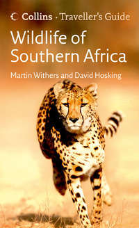 Wildlife of Southern Africa - David Hosking