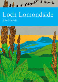 Loch Lomondside - John Mitchell