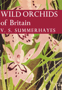 Wild Orchids of Britain - V. Summerhayes