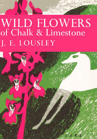 Wild Flowers of Chalk and Limestone - J. Lousley