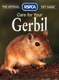 Care for your Gerbil - RSPCA