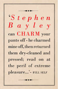 Charm: An Essay - Stephen Bayley