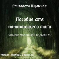 Пособие для начинающего мага, audiobook Елизаветы Шумской. ISDN42590511