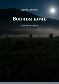 Волчья ночь. Сборник рассказов, аудиокнига Дениса Валерьевича Соболева. ISDN42624301