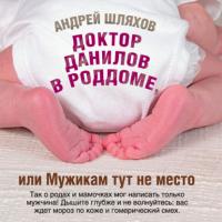 Доктор Данилов в роддоме, или Мужикам тут не место, audiobook Андрея Шляхова. ISDN42642619